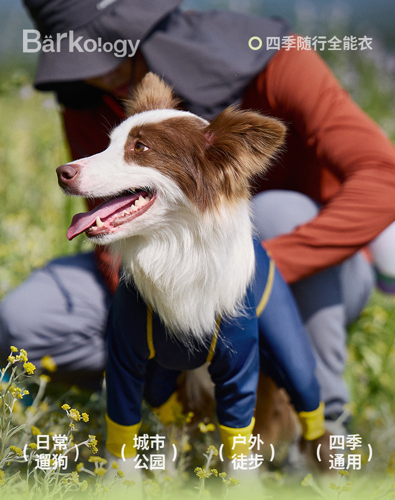 All-Season Comprehensive Clothing