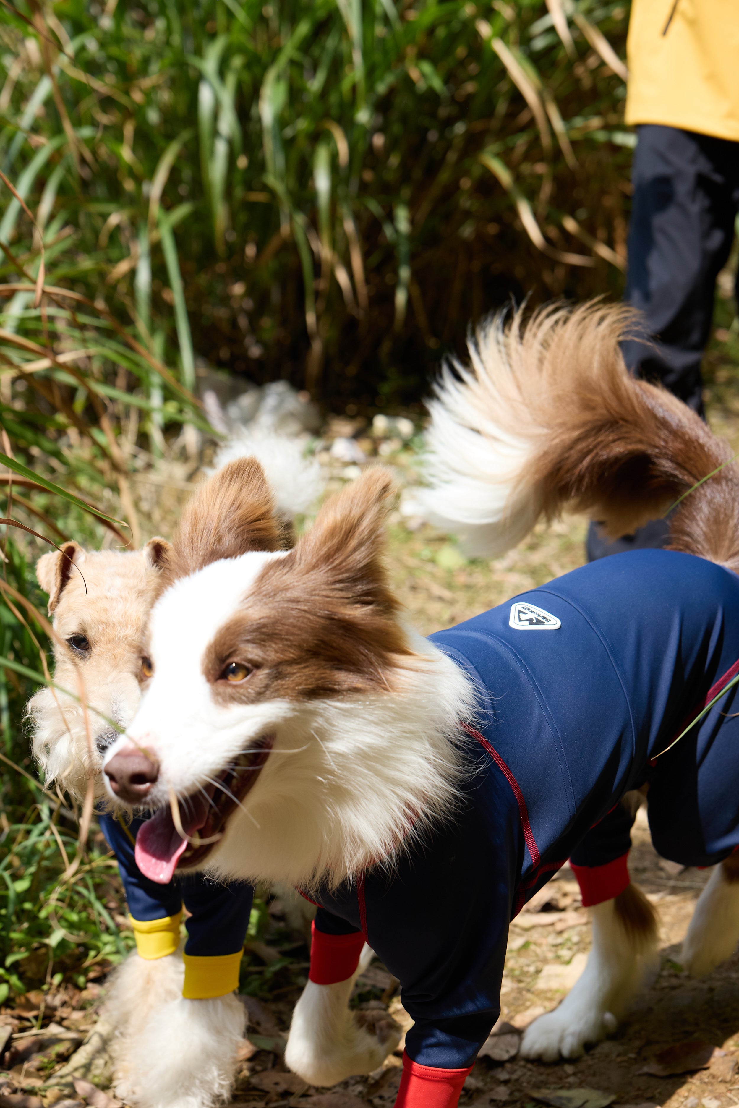 All-Season Comprehensive Clothing