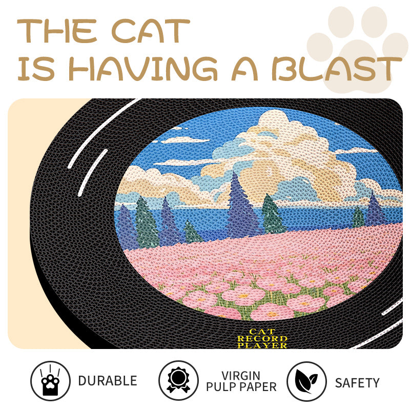 Vinyl Record Scratching Pad