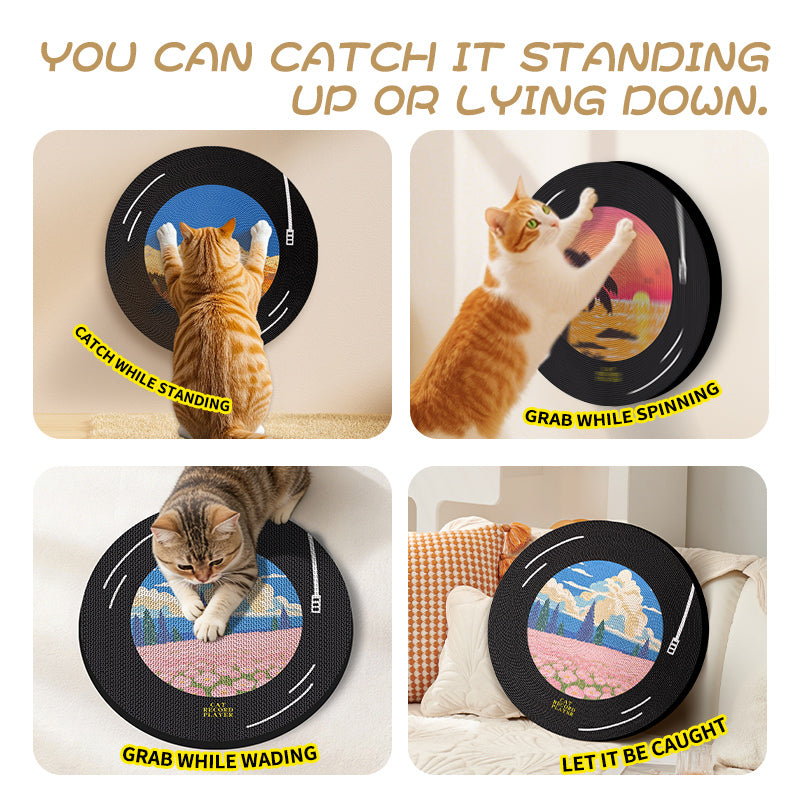 Vinyl Record Scratching Pad