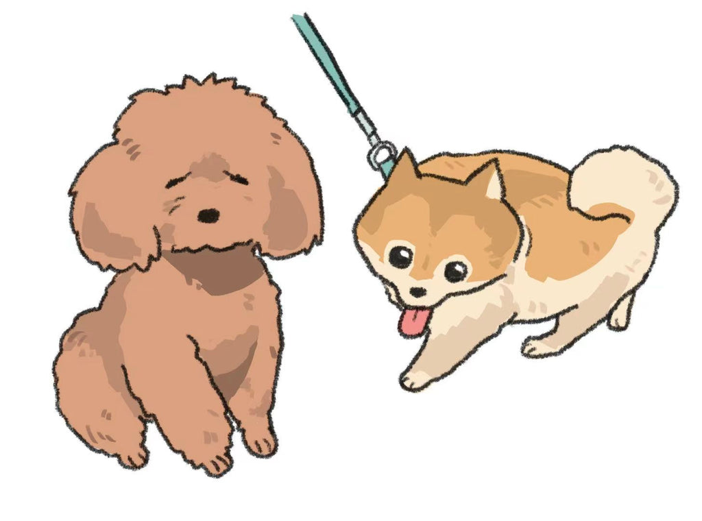 pet art portrait custom design